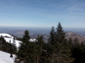 CIMG0532.JPG