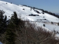 P1010320.JPG