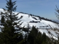 P1010324.JPG