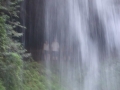P1020394_2