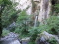 P1020401_1