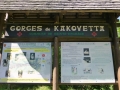 P1020350