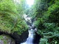P1020381