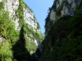 P1020443