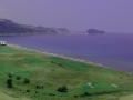 IMG_20140622_120024(0)