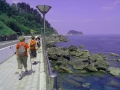 IMG_20140622_125903(0)
