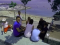 IMG_20140622_145409(0)