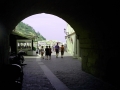 IMG_20140622_160515(0)