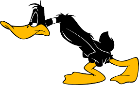 canard